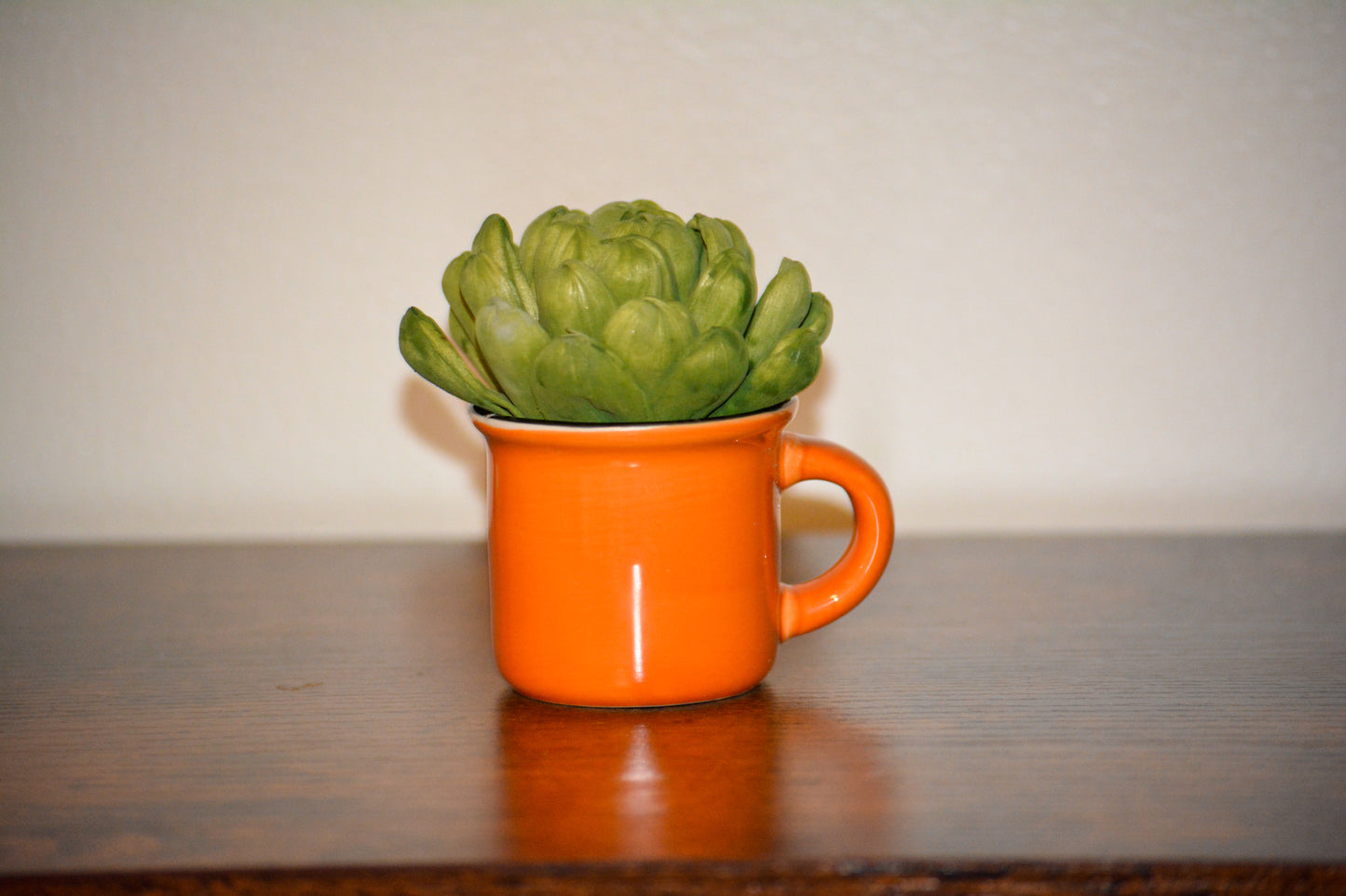 Mini Orange Mug Succulent