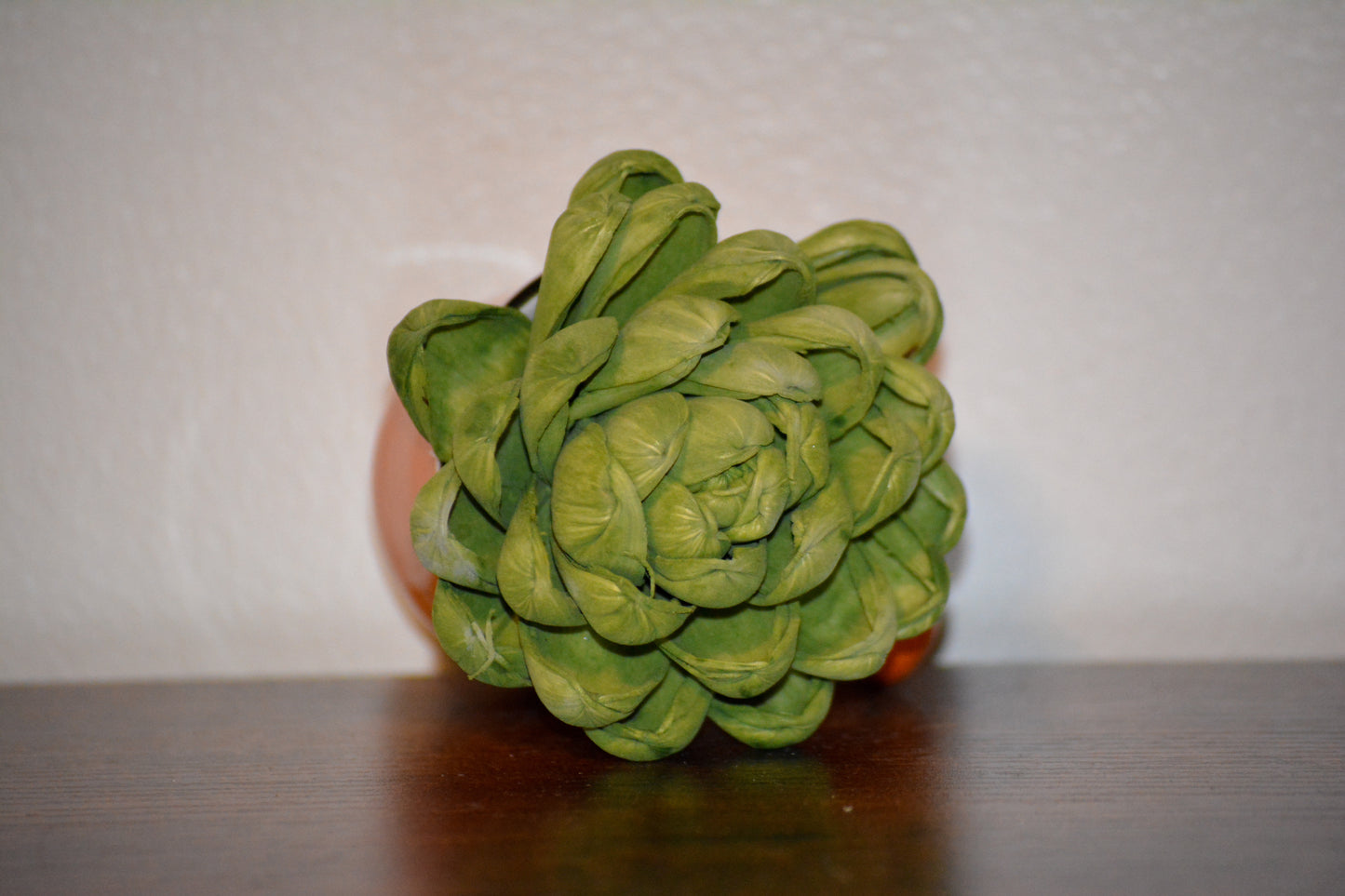 Mini Orange Mug Succulent