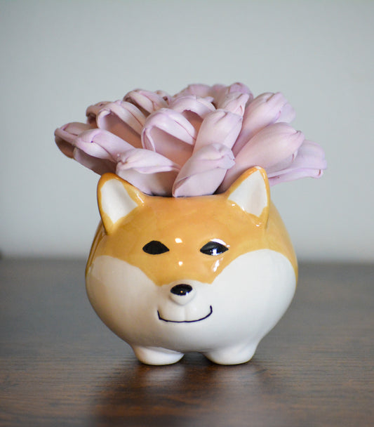 Mini Dog