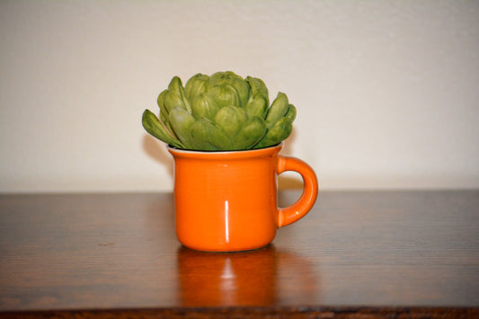 Mini Orange Mug Succulent